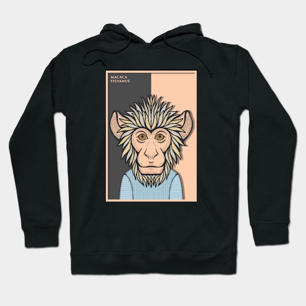 Barbary Macaque Monkey Hoodie by milhad